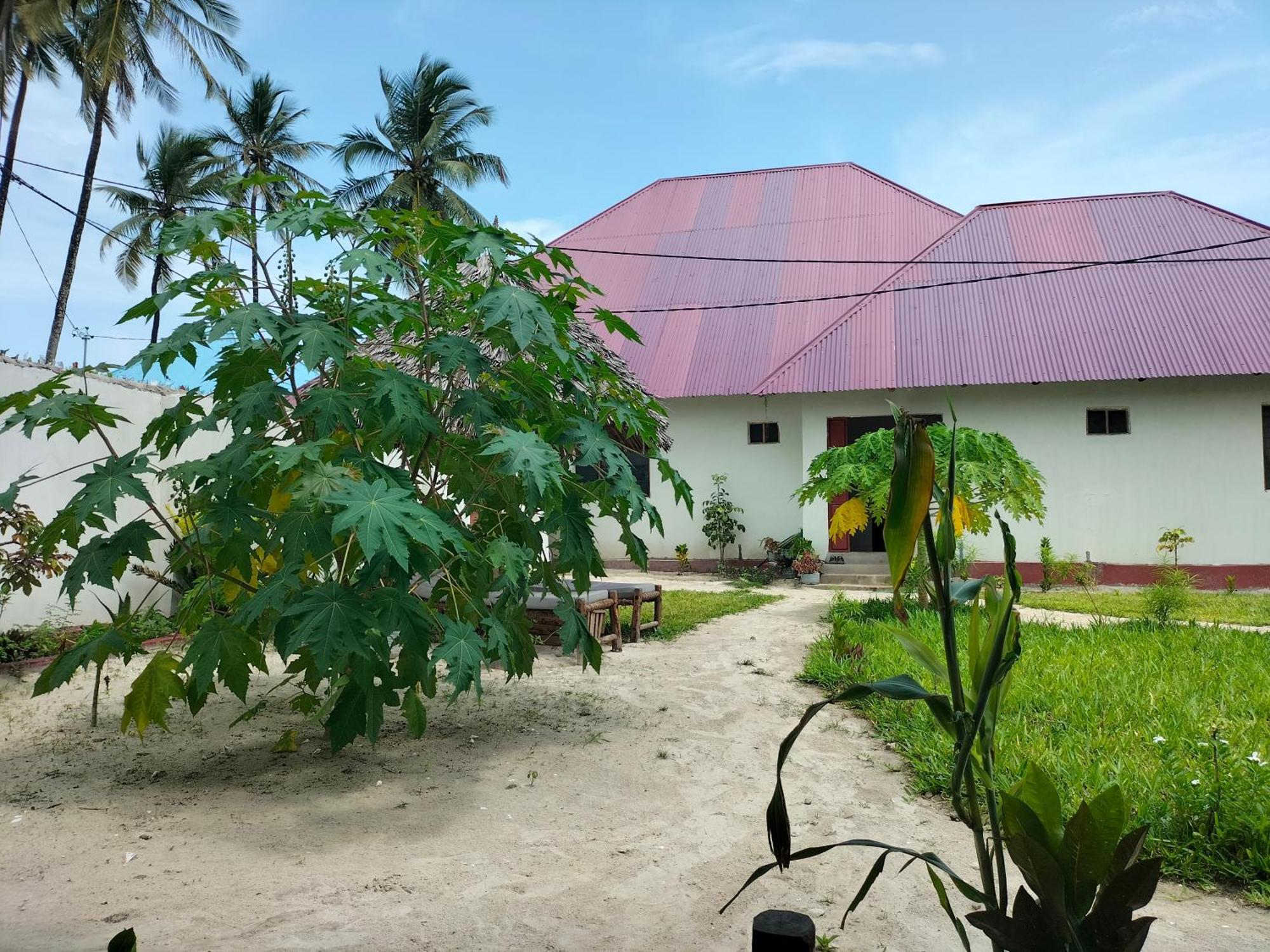 Mambo Leo Hostel Paje Kültér fotó