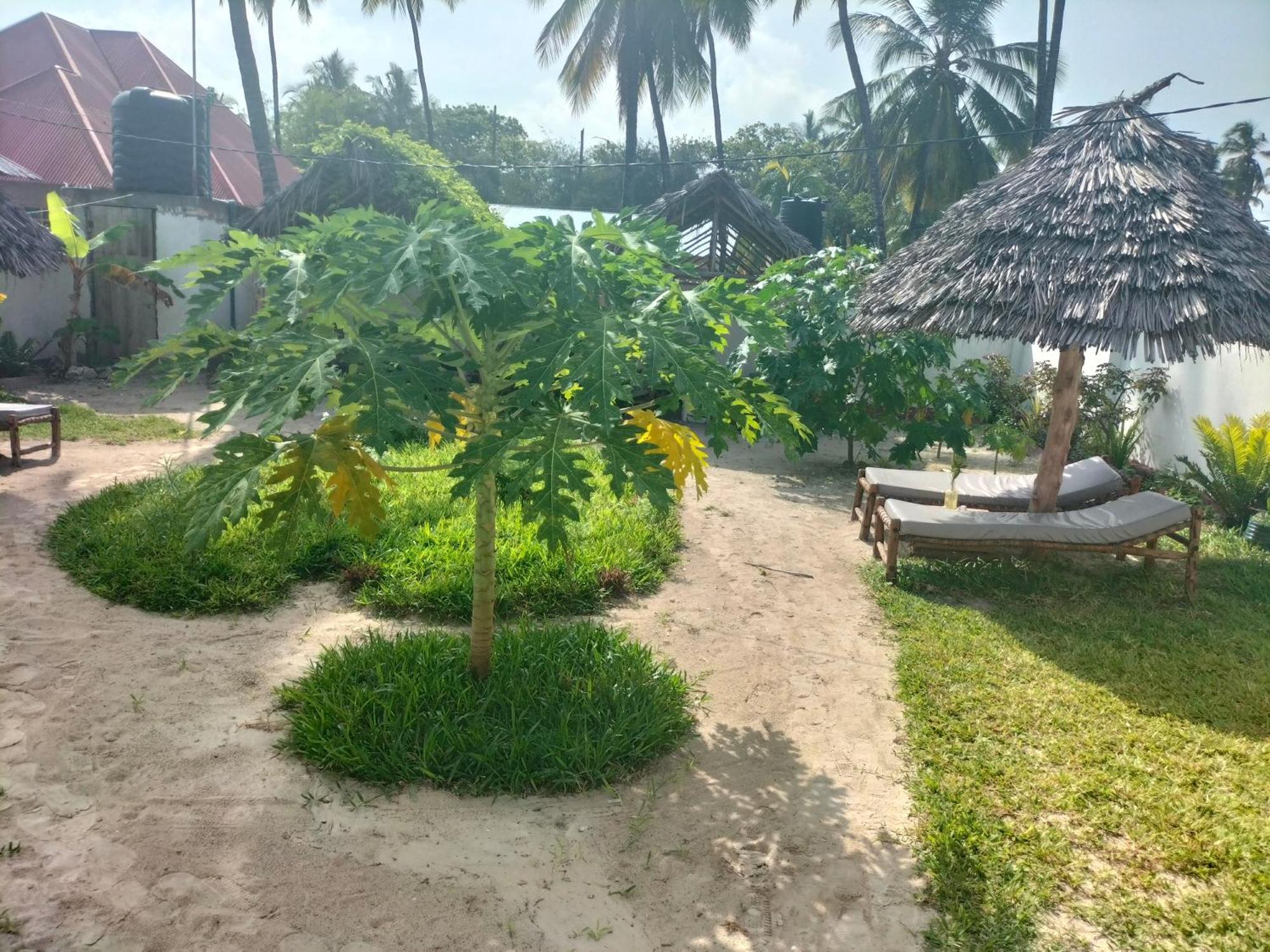 Mambo Leo Hostel Paje Kültér fotó